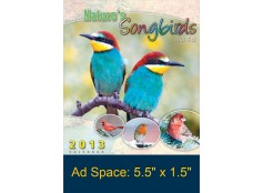 Desk Calendar DC13
